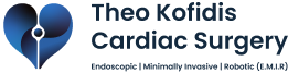 Prof Theo Kofidis